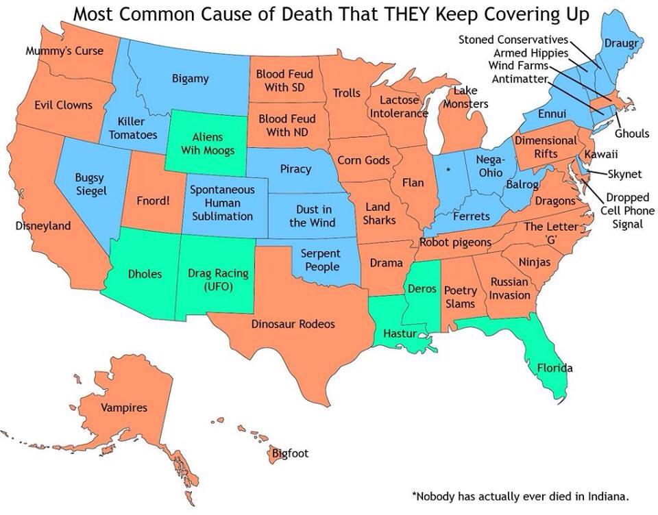 US cause of death.jpg